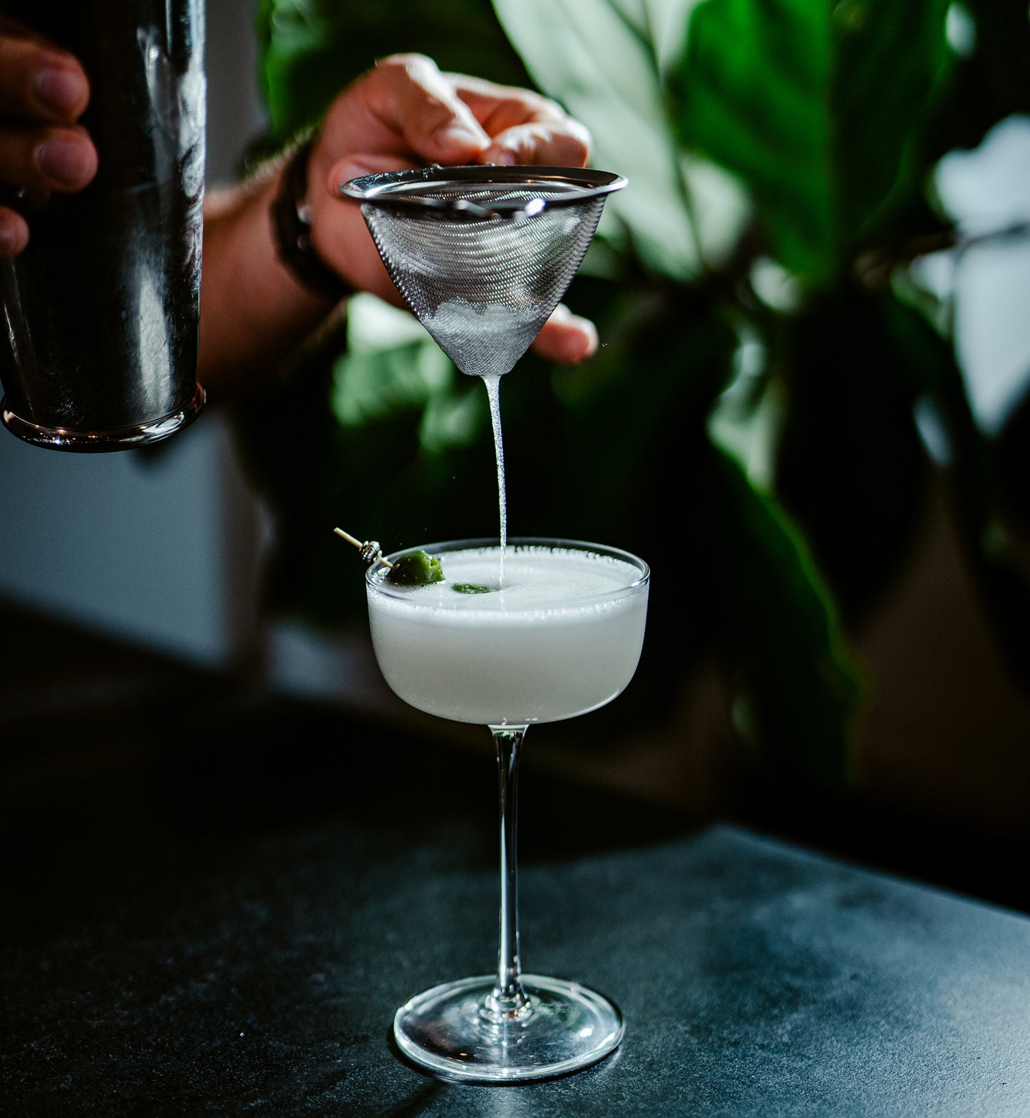 Sophisticated coupe cocktail glass for home bars, parties, and entertaining.