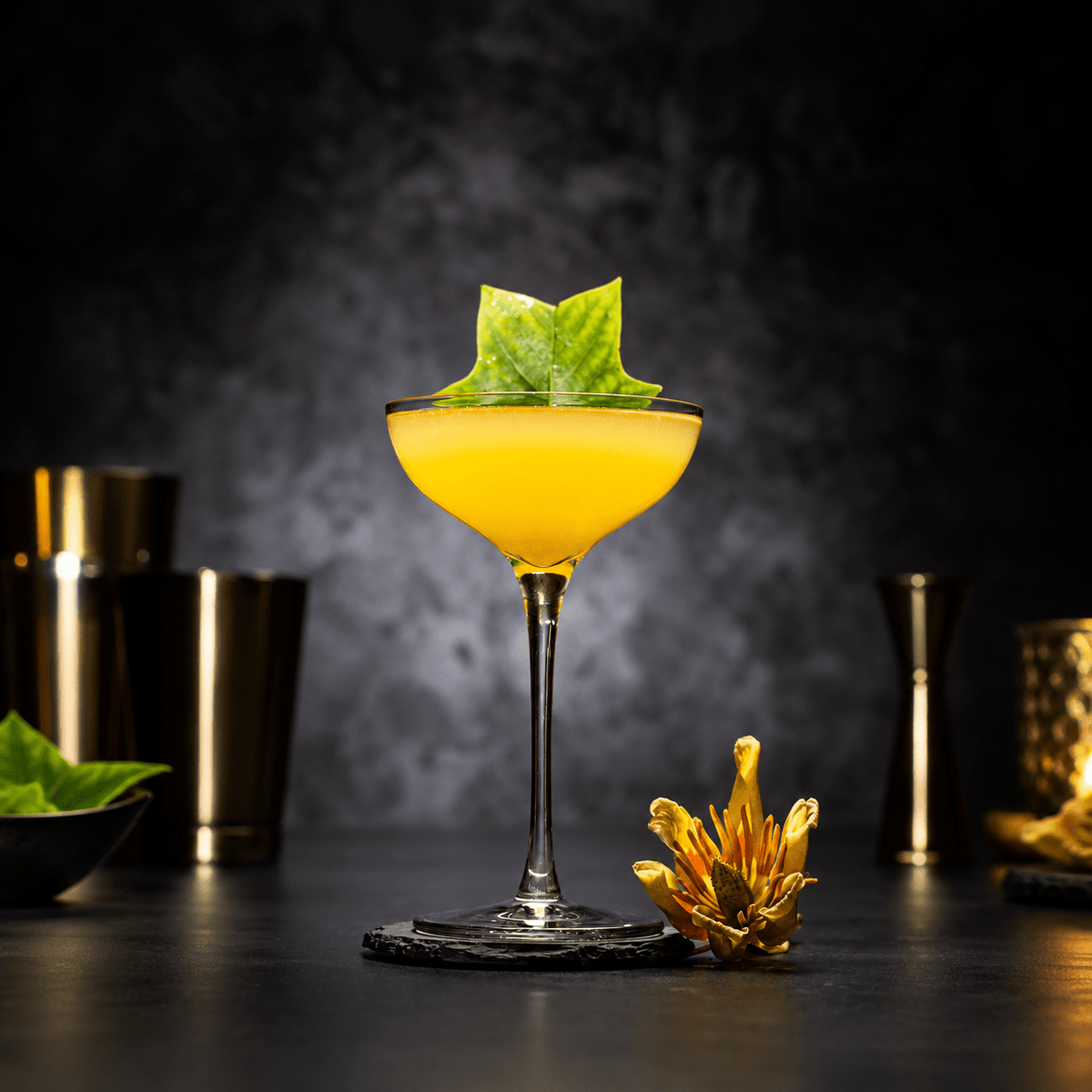 The “Coupetini” Cocktail Glass - Coupe and Martini Hybrid, 2-Piece Set (Gift Box Collection) - HISTORY COMPANY